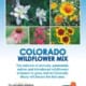 Colorado Wildflower Mix