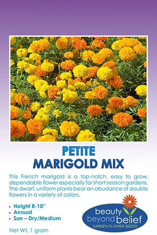 Marigold Petite Mix