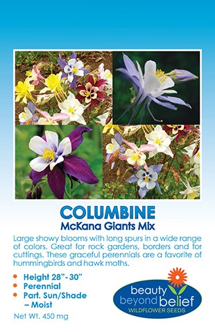 1 Packet Dee Ree Perennials Aquilegia McKana Giant Mixed Flower Seeds For Gardens & Outdoors