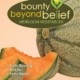 Minnesota Midget cantaloupe seed package.
