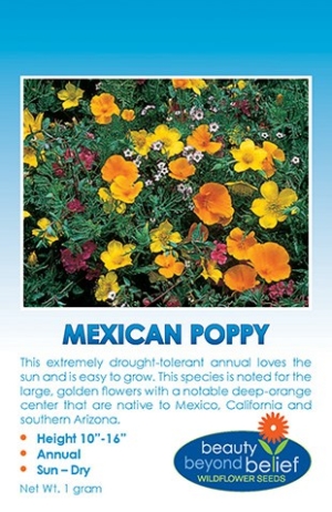Mexican Poppy
