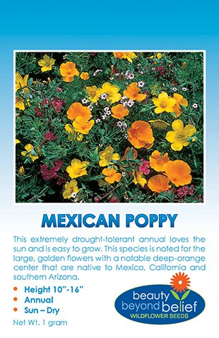 Mexican Poppy Wildflower Seeds