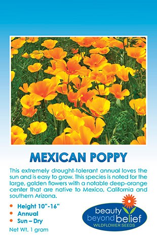 Mexican Poppy  Drought Tolerant Wildflower Seeds