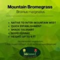 Mountain bromegrass label