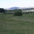 Lush mountain meadow with diverse grass blend and distant hills.