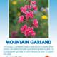 Mountain Garland