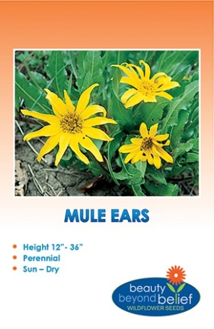 Mule Ears Wildflower Seeds