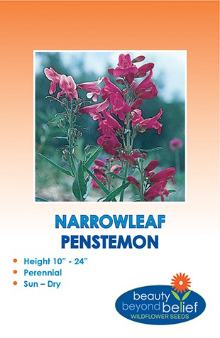 Narrowleaf Penstemon Wildflower Seeds