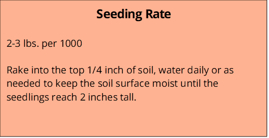 Native Turf Seeding Rage