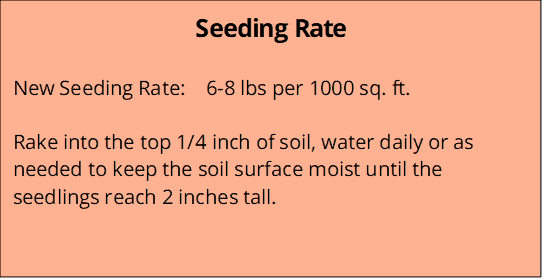 On Par Perennial Ryegrass Seedng Rate