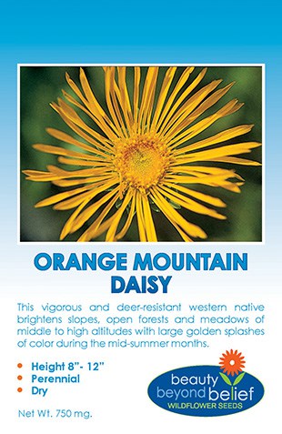 Orange Mountain Daisy Wildflower Seeds