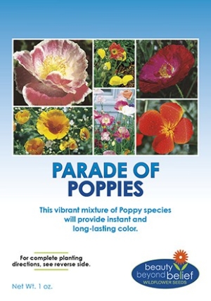 Parade of Poppies