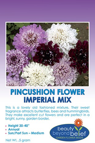 Pincushion Flower Imperial Mix