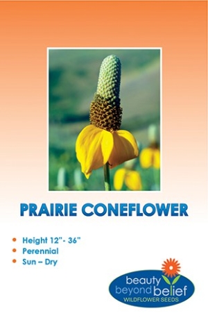 Prairie Coneflower Wildflower Seeds
