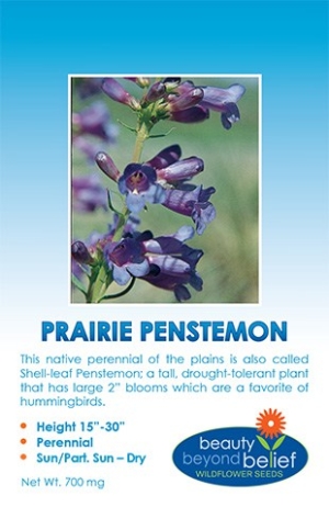 Prairie Penstemon Wildflower Seeds