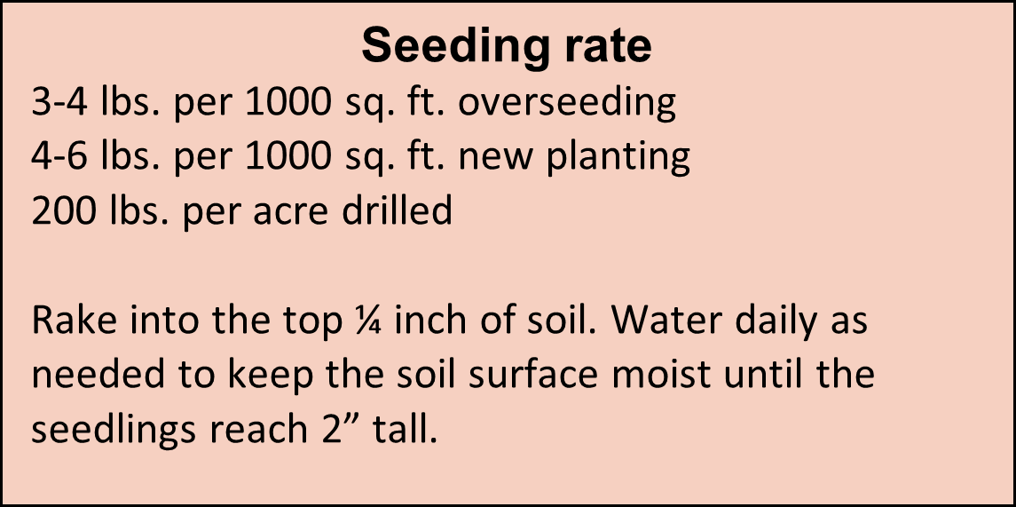 Seeding rate for Quick-to-grow grass seed mix.