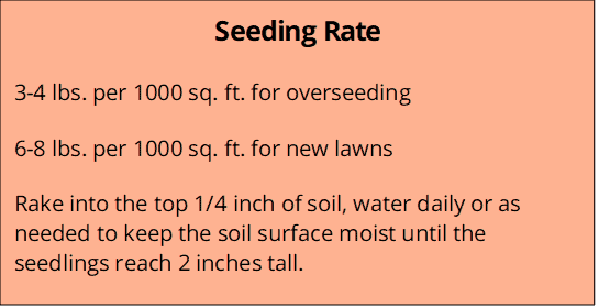 Quick to Grow Seeding Rate