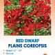 Red Dwarf Plains Coreopsis