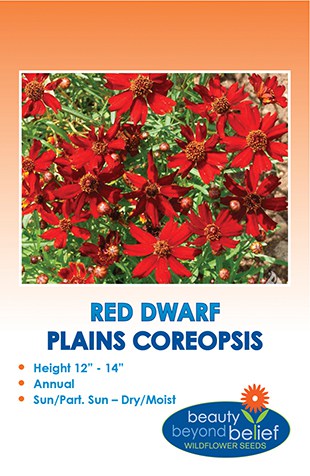 Red Dwarf Plains Coreopsis