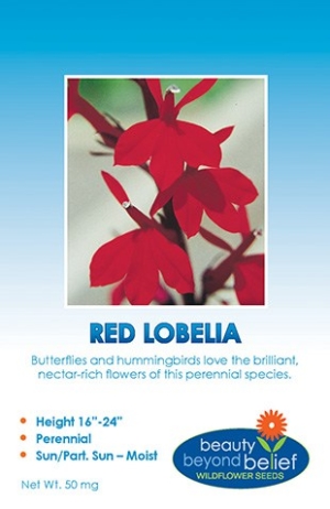 Red Lobelia