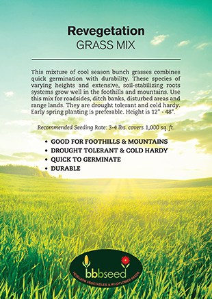 Revegetation Grass Seed Mix
