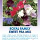 Sweet Pea Royal Family Mix