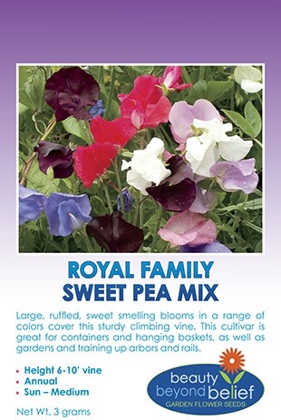 Sweet Pea Royal Family Mix
