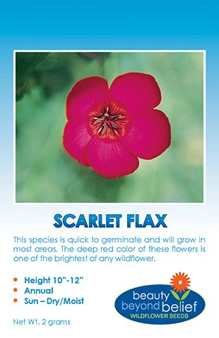 Scarlet Flax Wildflower Seeds
