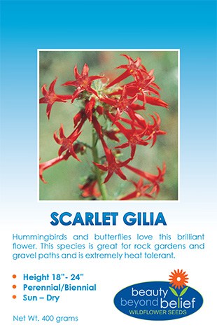 Scarlet Gilia Wildflower Seeds