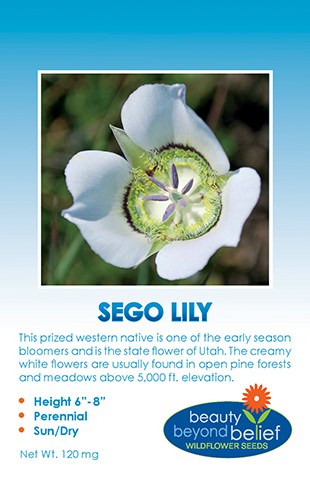 Sego Lily Wildflower Seeds