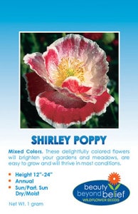 Mixed Shirley Poppy