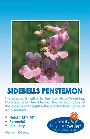 Sidebells Penstemon Wildflower Seeds