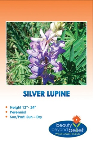 A packet of Silver Lupine seeds.
