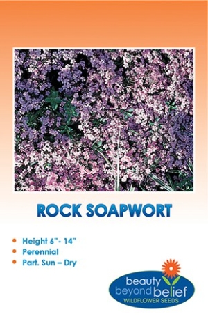 Rock Soapwort Wildflower Seeds