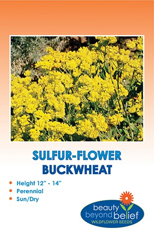 A packet of Sulfur-Flower Buckwheat seeds.