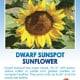 Dwarf Sunspot sunflower seed packet.