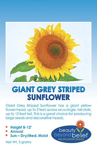 Giant Grey Striped Sunflower Seeds