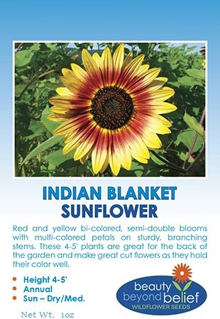 Indian Blanket sunflower seeds.