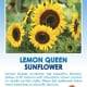 Lemon Queen sunflower seed packet.