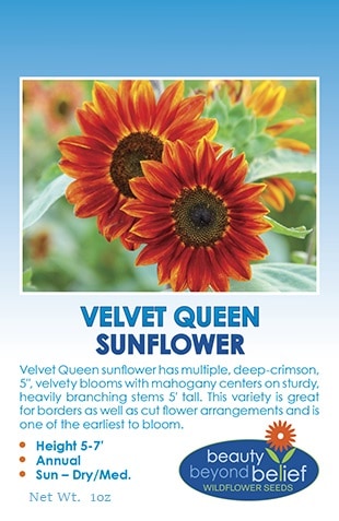 Velvet Queen sunflower seed packet.