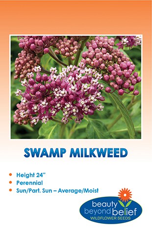 Swamp Milkweed Wildflower Seeds