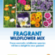 fragrant wildflower mix