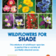 Wildflowers for Shade