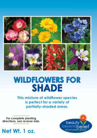 Wildflowers for Shade