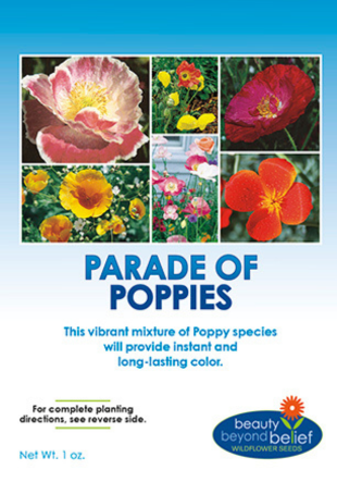 Parade of Poppies