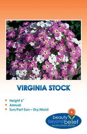 Package label for Virginia Stock seeds.