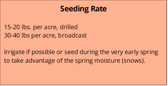 Western Native seeding rate