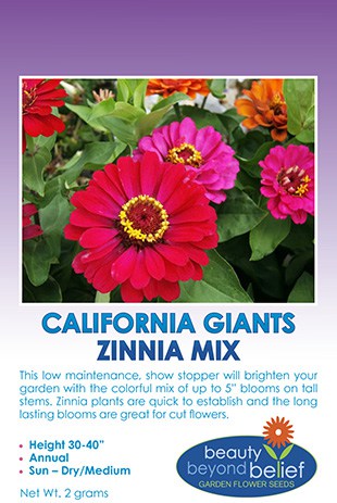 California Giants Zinnia