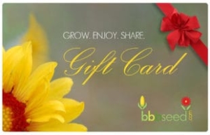 BBB Seed Gift Card