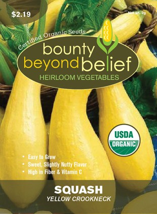 Yellow Crookneck Squash Certified Organic Seeds